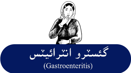 Gastroenteritis Fact Sheet